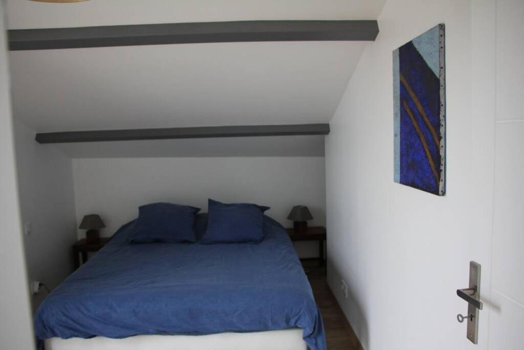 Azur De Touraine Villa Monts Buitenkant foto